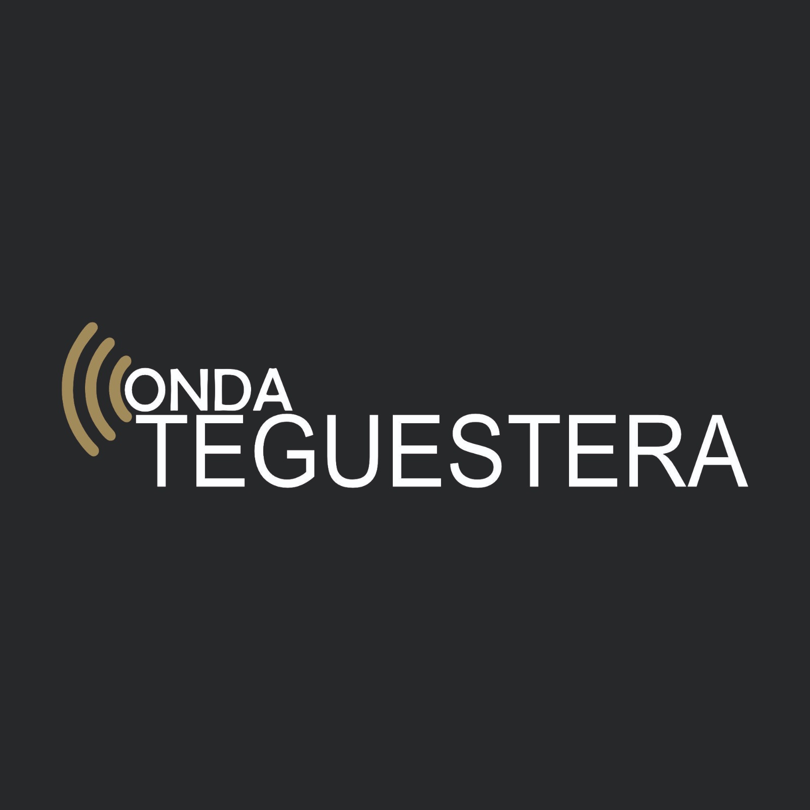 logo negro onda teguestera