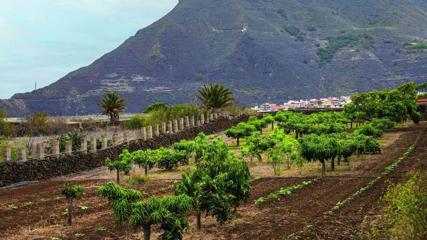 la-laguna-reactiva-el-banco-de-tierras-para-recuperar-las-zonas-de-cultivo